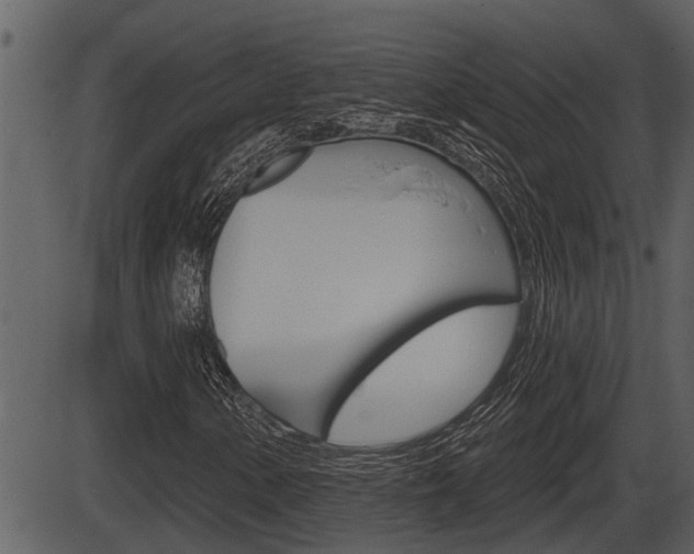 X0000086271154200703291029