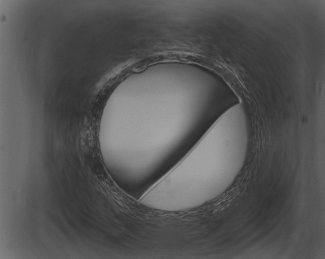 X0000086271159200703291029