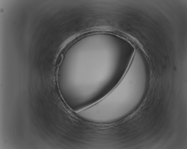 X0000086271168200703291029