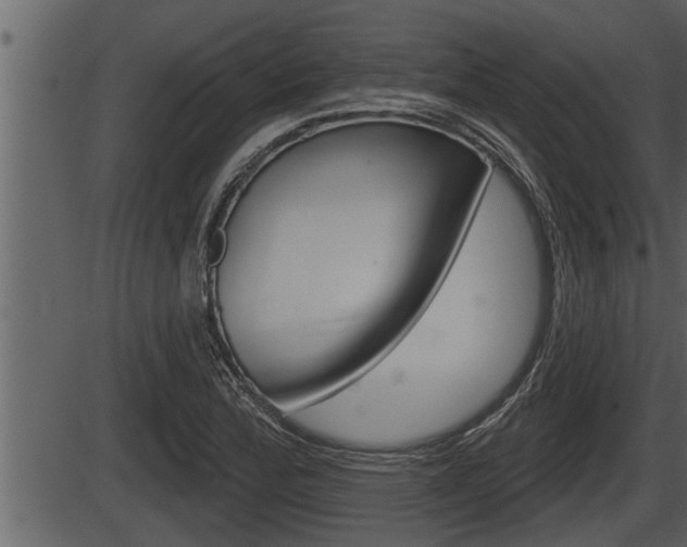 X0000086271172200703291029