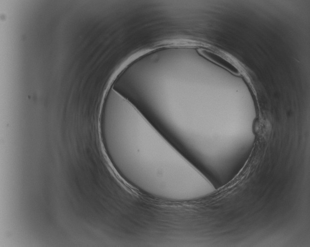 X0000086271195200703291029