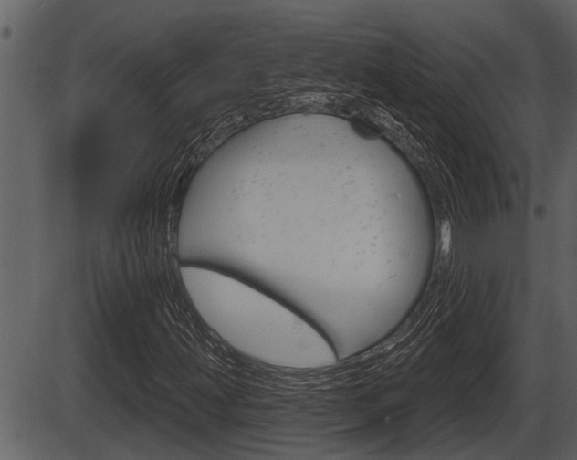 X0000086271203200703291028