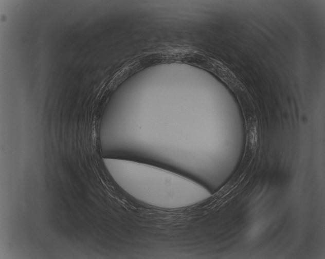 X0000086271204200703291028