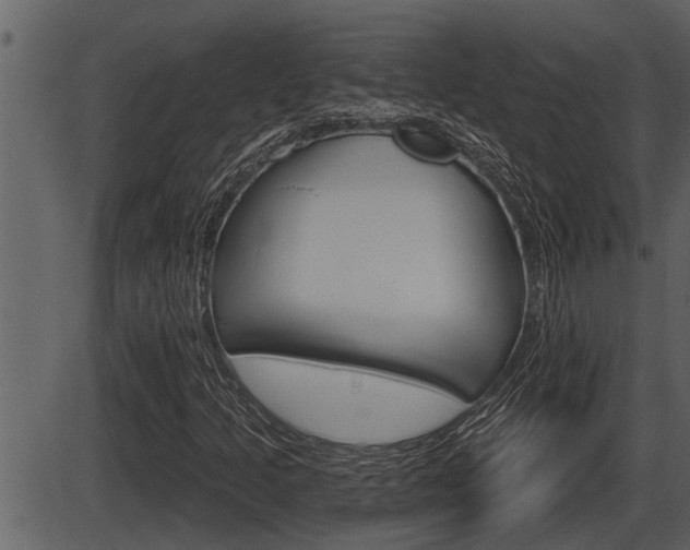 X0000086271205200703291028