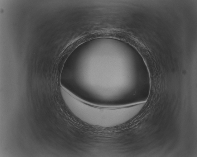 X0000086271206200703291028