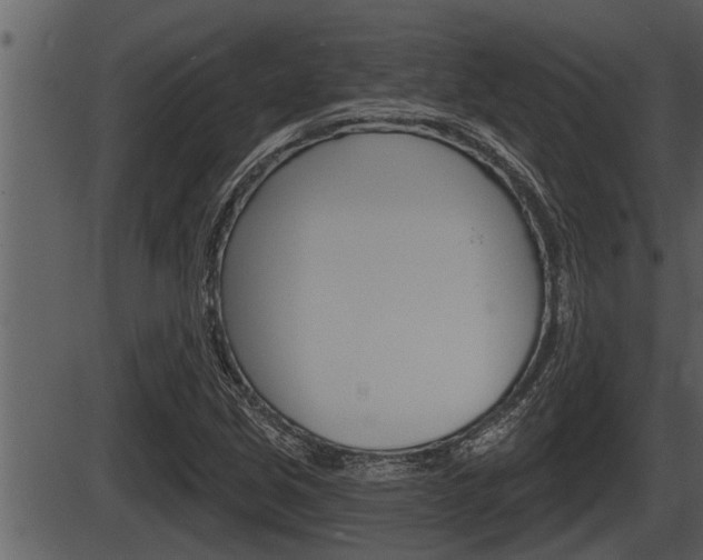 X0000086271213200703291028