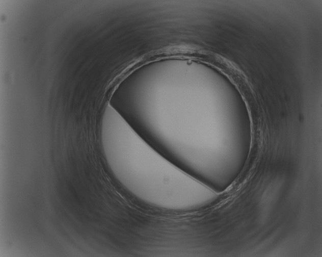 X0000086271217200703291028