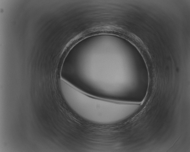 X0000086271218200703291028