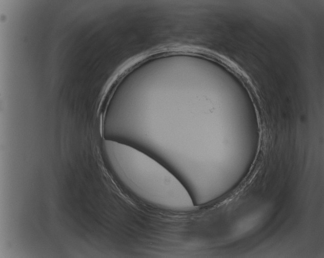 X0000086271223200703291028
