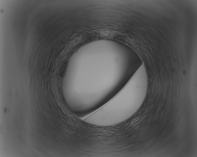X0000086271249200703291028