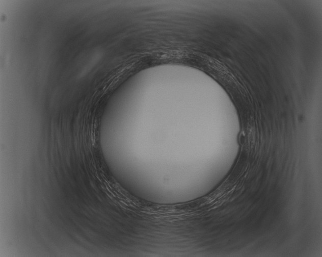 X0000086271250200703291028
