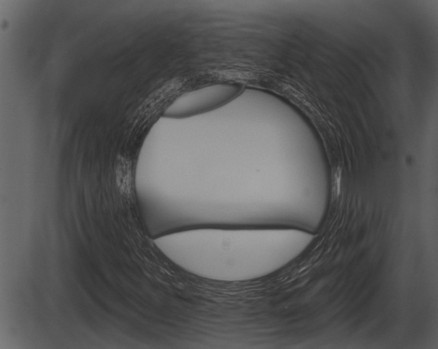 X0000086271251200703291028