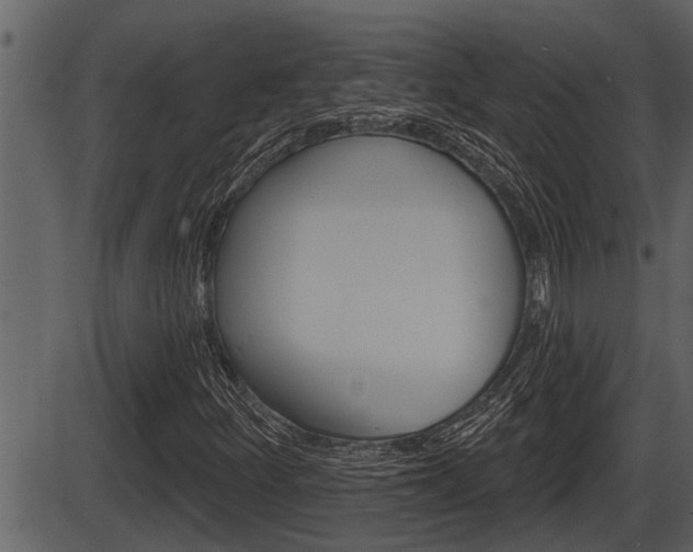 X0000086271252200703291028