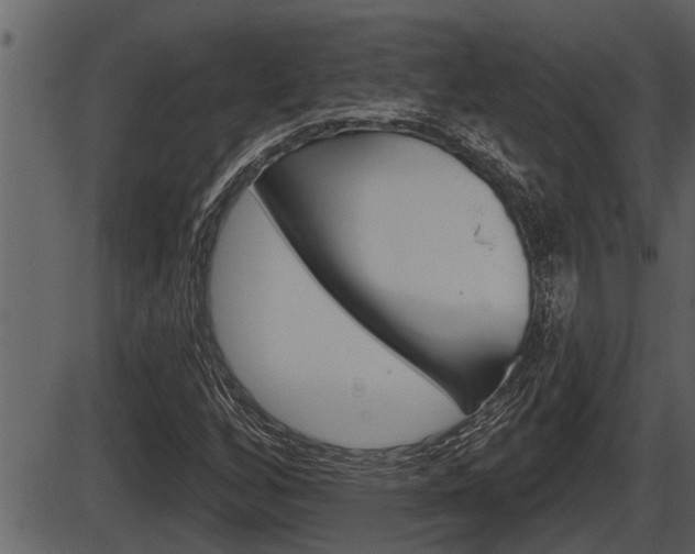 X0000086271256200703291028