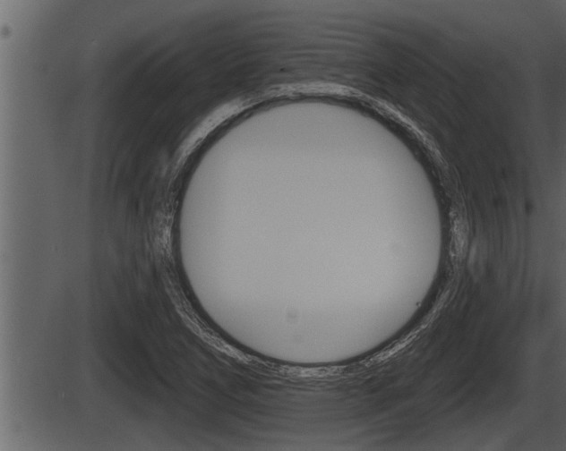 X0000086271266200703291027