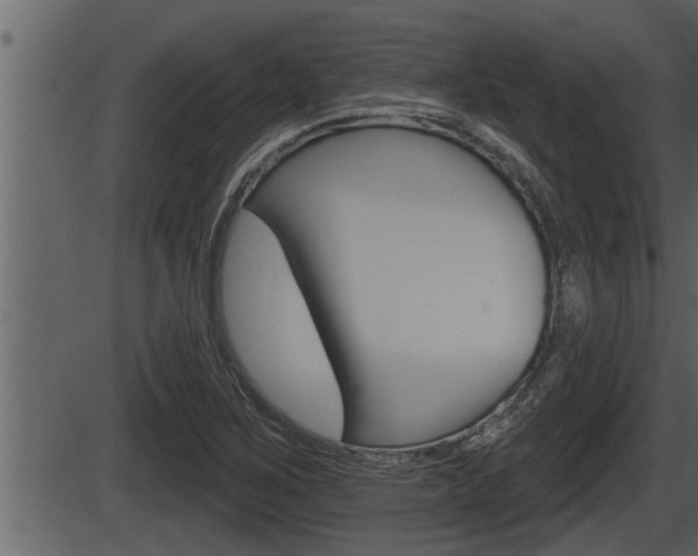 X0000086271267200703291027