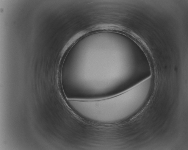 X0000086271277200703291027