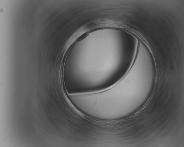 X0000086271293200703291027