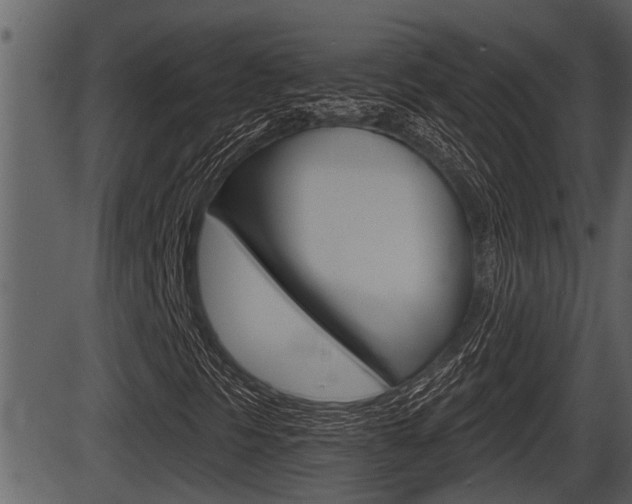 X0000086271297200703291026