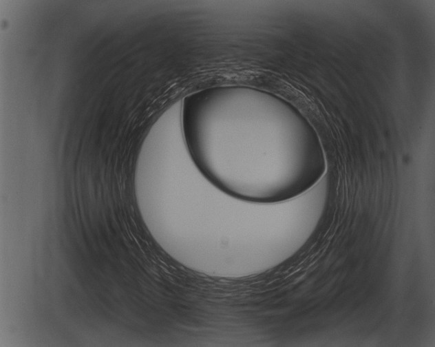 X0000086271298200703291026