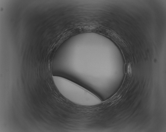X0000086271299200703291026
