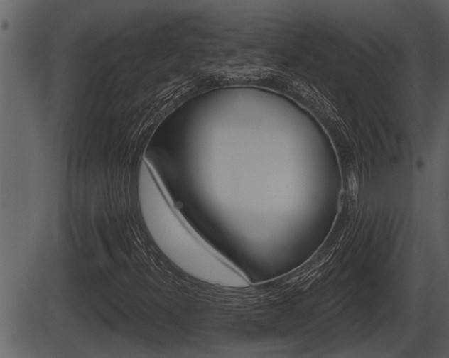 X0000086271300200703291026