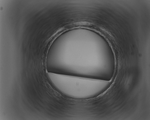 X0000086271305200703291026