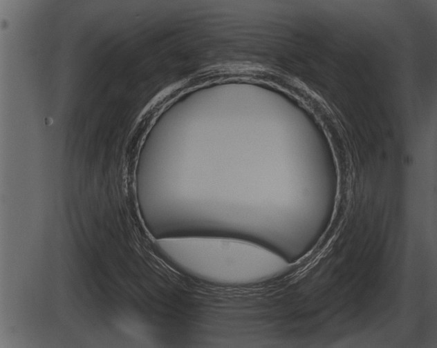 X0000086271306200703291026