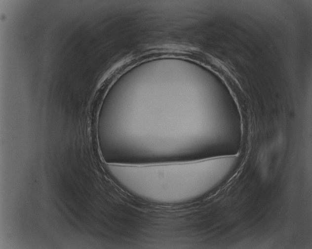 X0000086271307200703291026