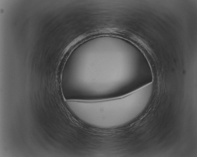 X0000086271308200703291026