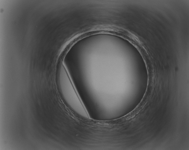 X0000086271312200703291026