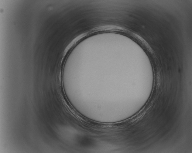 X0000086271322200703291027
