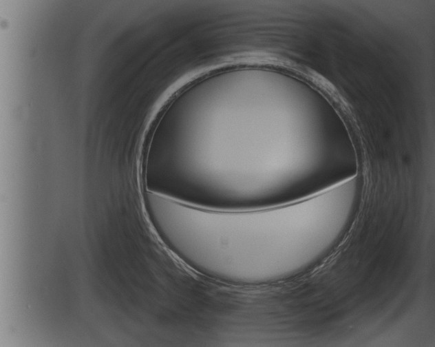 X0000086271334200703291027