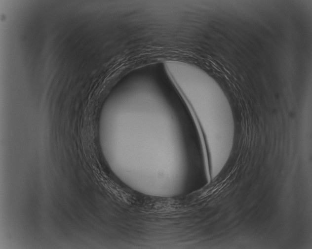 X0000086271345200703291026