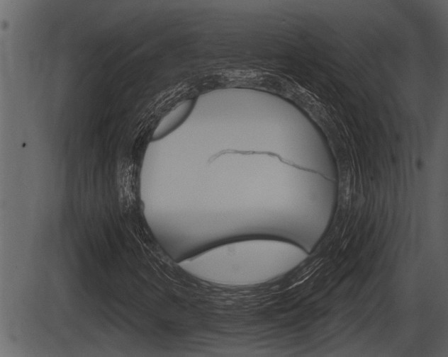 X0000086271346200703291026