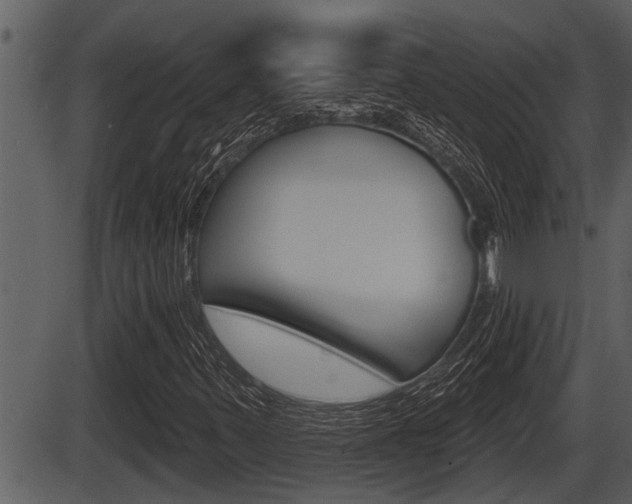 X0000086271347200703291026