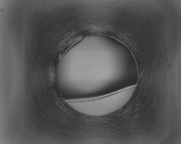 X0000086271348200703291026