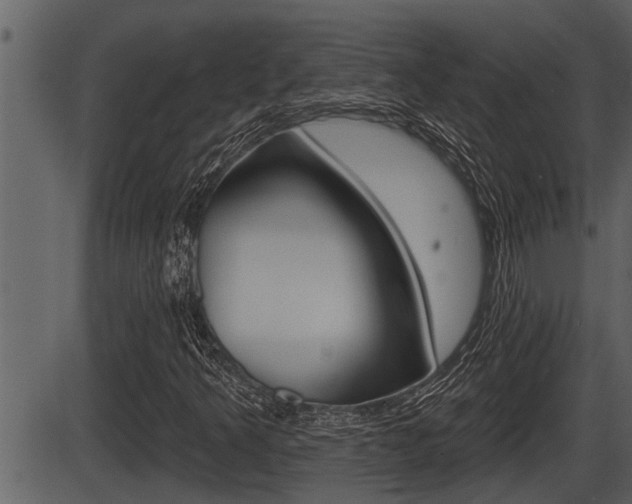 X0000086271349200703291026