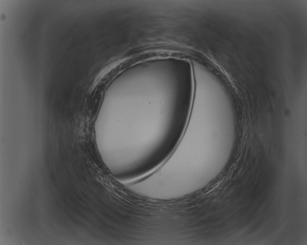 X0000086271352200703291026