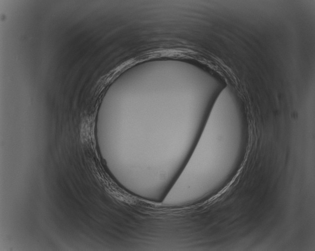 X0000086271353200703291026