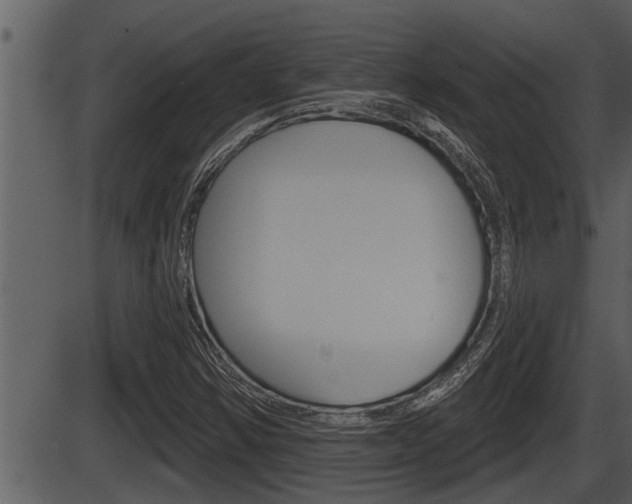 X0000086271354200703291026