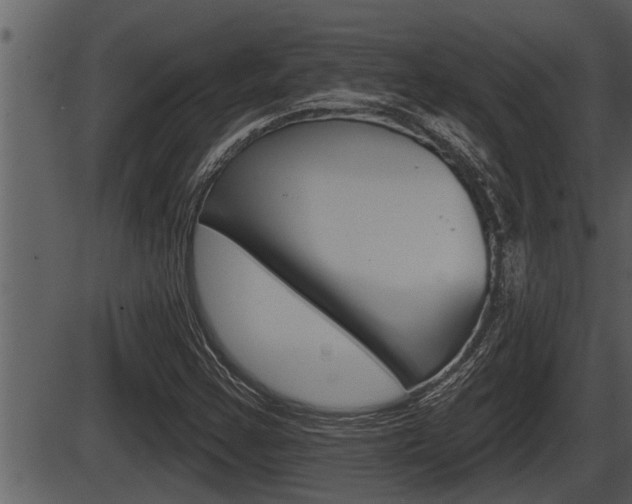 X0000086271355200703291026
