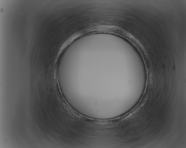 X0000086271362200703291026