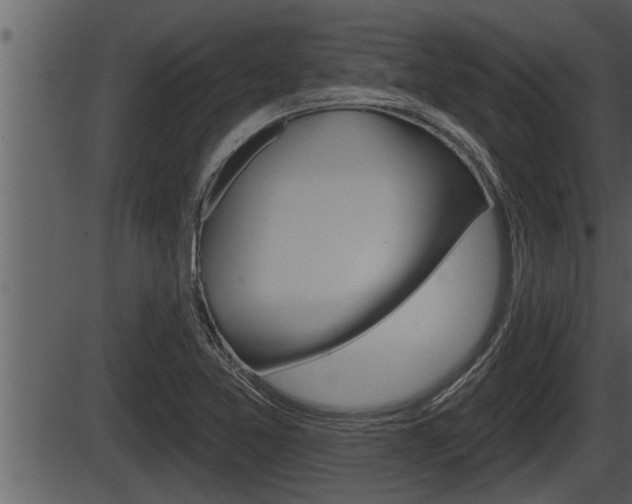 X0000086271365200703291026