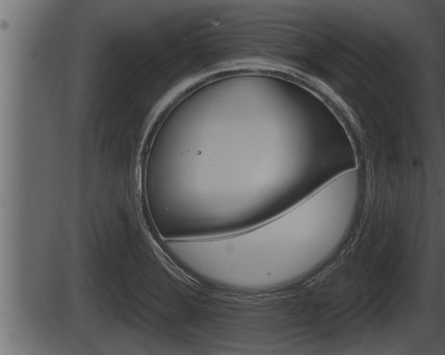X0000086271372200703291026