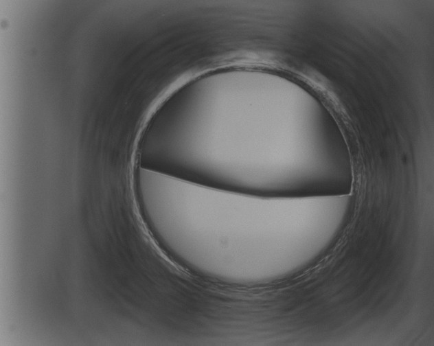 X0000086271375200703291026