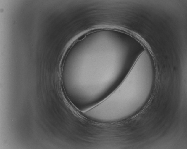 X0000086271380200703291026
