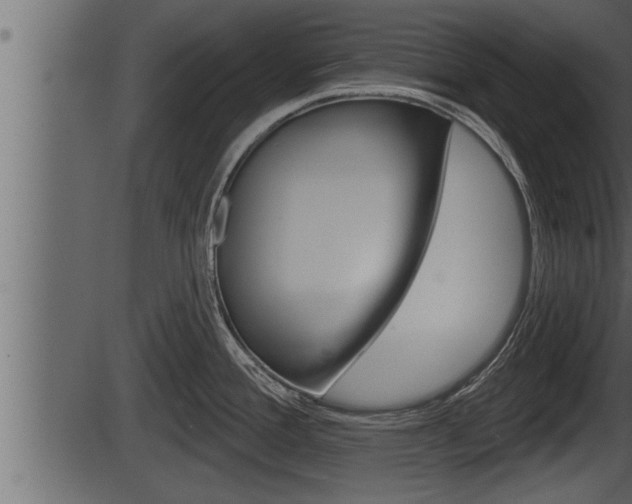 X0000086271388200703291025