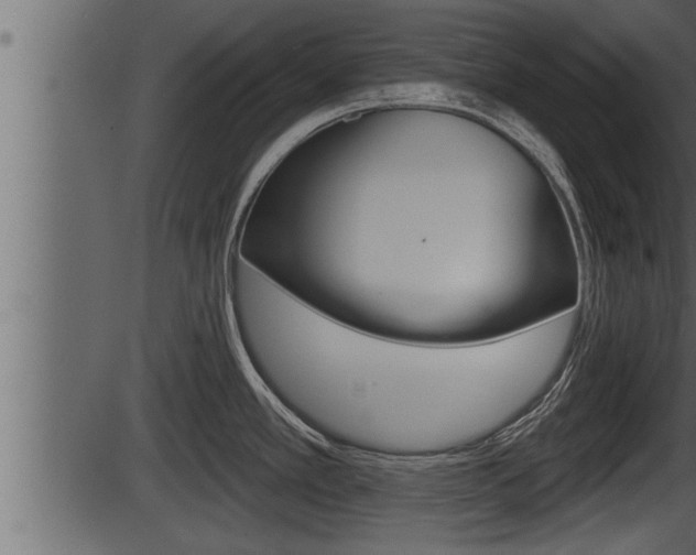 X0000086271389200703291025