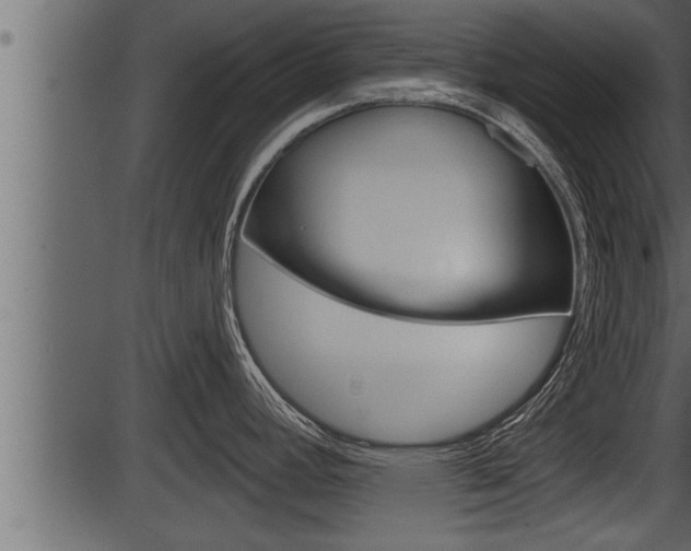 X0000086271392200703291025